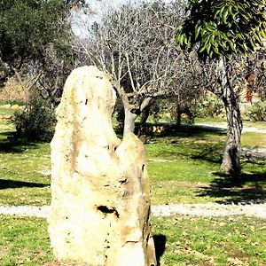 Al Vecchio Fontanile B&B